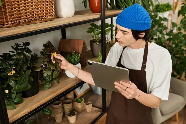 El joven atiende cuidadosamente a las plantas, examinando las hojas mientras usa una tableta para guiar. - foto de stock