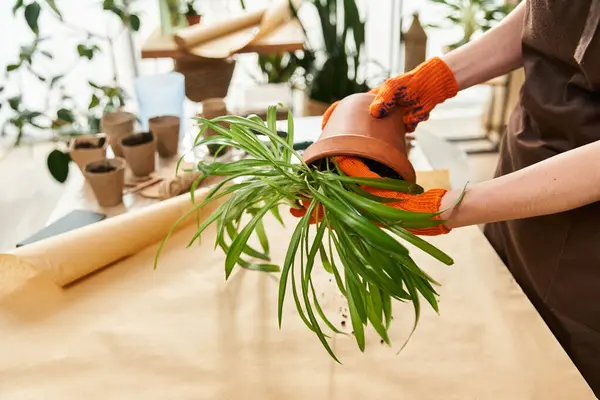 A young man wearing gloves is skillfully transplanting plants, surrounded by natural light. — Stock Photo
