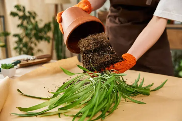 Handsome young man transfers soil and roots while nurturing plants in a vibrant studio atmosphere. — Stock Photo