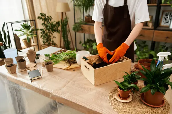 Young man with orange gloves carefully transplanting plants in a vibrant indoor garden setting. — Stock Photo
