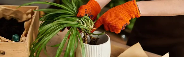 Young man enjoys transplanting healthy plants, showcasing his gardening skills in a lively studio. — Stock Photo