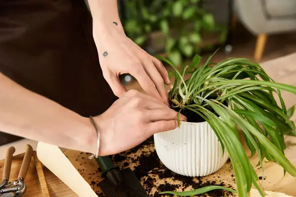 Handsome young man carefully moves plants into new pots while enjoying a serene studio atmosphere. — Stock Photo