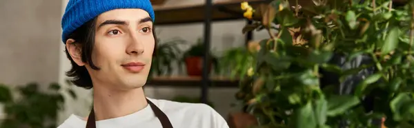 Красивий молодий чоловік з блакитним капелюхом фокусується на пересадці рослин в теплій і запрошеній студії. — Stock Photo
