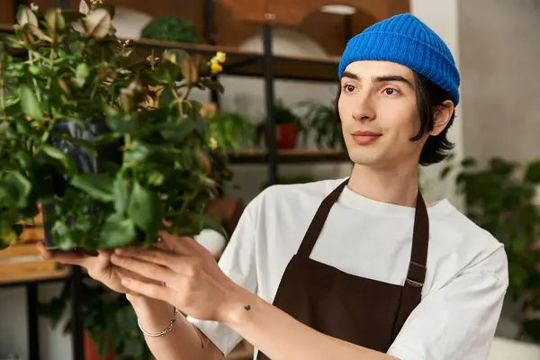A young man in a blue beanie transplants plants in a sunny studio filled with greenery. — Stock Photo