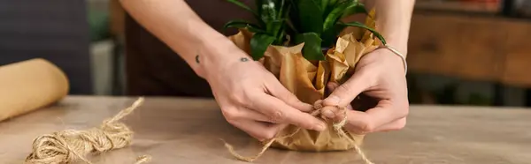 Luminoso estudio lleno de luz natural cuando un joven trasplanta cuidadosamente las plantas usando sus manos. - foto de stock