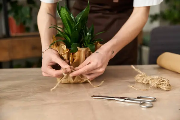 Un joven guapo está transplantando una planta verde en un estudio, usando cordel como soporte. - foto de stock