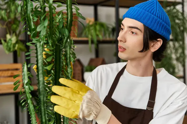 Young man carefully transplanting various plants while showcasing his gardening skills indoors — Stock Photo
