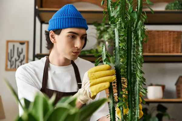 Young man carefully transplanting vibrant greenery in a warm and inviting indoor space. — Stock Photo