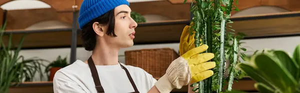 A young man wearing gloves and a beanie tends to plants, focused on transplanting them in a studio. — Stock Photo