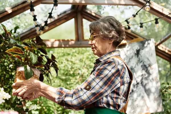 A lovely senior woman cares for her plants in a vibrant garden, basking in the sun. — стокове фото