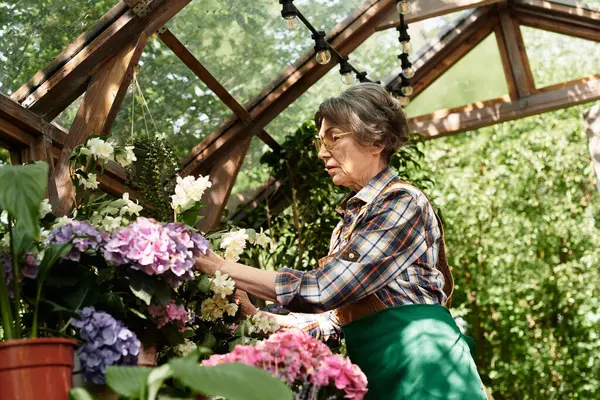 A beautiful senior woman is nurturing a variety of colorful flowers inside a tranquil greenhouse. — Stock Photo
