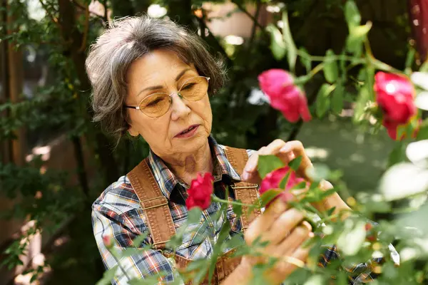 Elderly woman carefully examines bright roses, enjoying nature and nurturing her garden. — Stock Photo