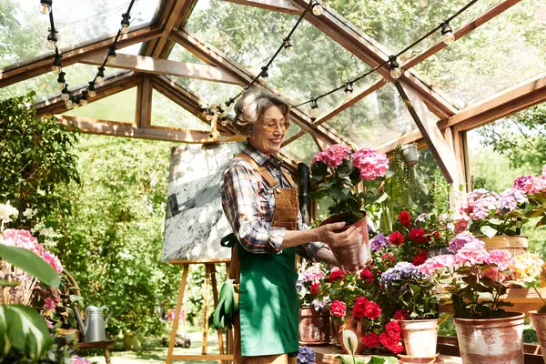 A senior woman joyfully arranges vibrant potted flowers in her lush garden. — стоковое фото