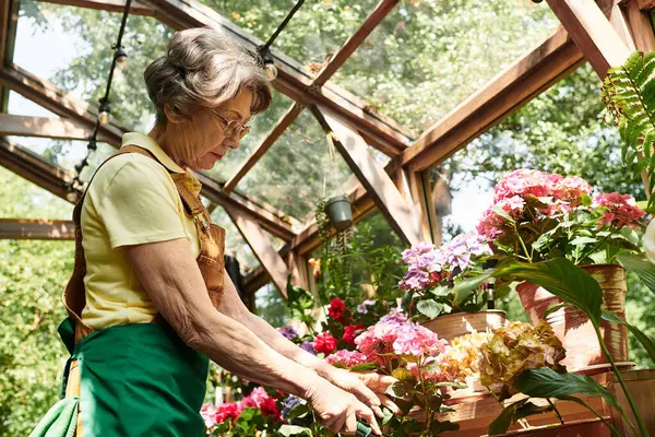 Amidst a blossoming garden, a senior woman carefully prunes colorful flowers under warm sunlight. — Stock Photo