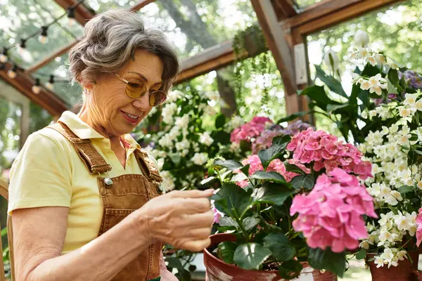 Joyful senior woman enjoys nurturing colorful blooms in her beautiful garden surrounded by nature. — Stock Photo