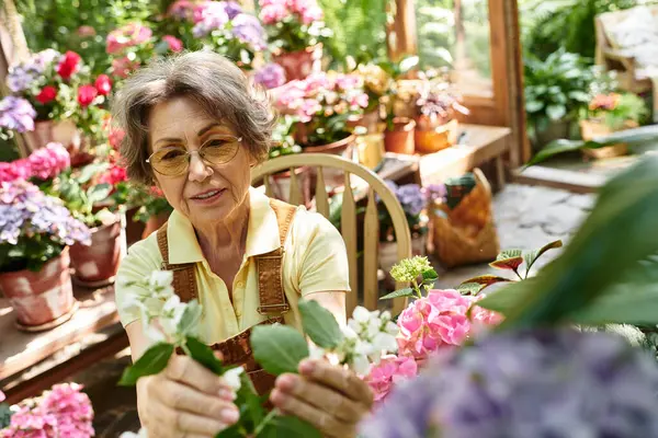 Joyful senior woman carefully arranging flowers in her lovely garden surrounded by colorful blooms. — Stock Photo