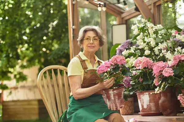 Senior woman lovingly tends to colorful flowers in her peaceful garden, embraced by nature. — стокове фото