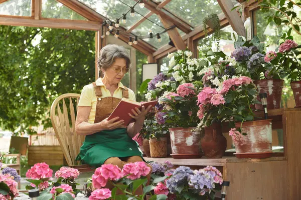 A graceful senior woman reads a book in her vibrant garden filled with colorful flowers and plants. — Stock Photo