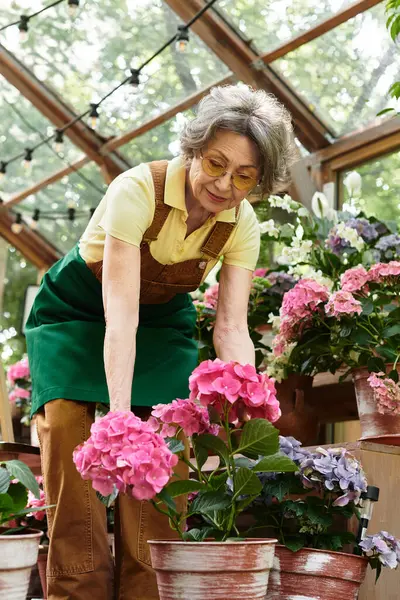 Beautiful senior woman carefully arranging blooming flowers in a sunny garden space, relaxing. — Stock Photo