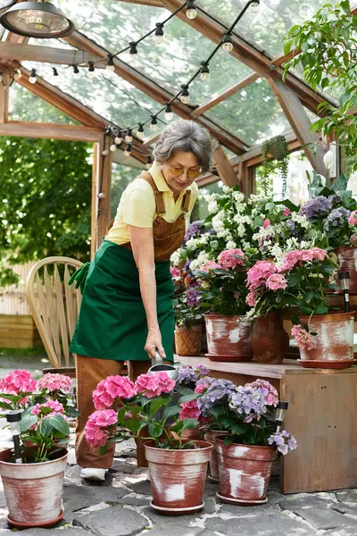 A beautiful senior woman enjoys nurturing vibrant blossoms in her lush garden space. — стокове фото