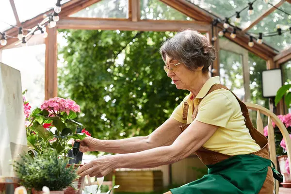 A lovely senior woman tends to her vibrant plants in a serene greenhouse filled with greenery. — стоковое фото