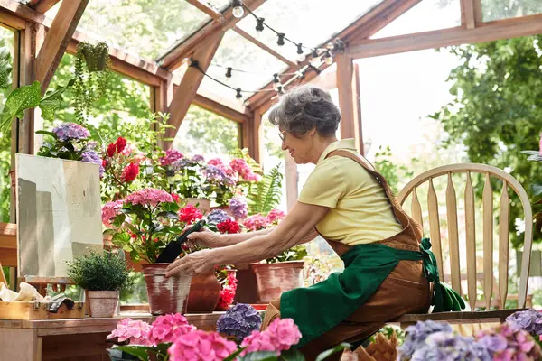 Senior woman carefully plants colorful flowers in a warm and sunny garden filled with life. — Stock Photo