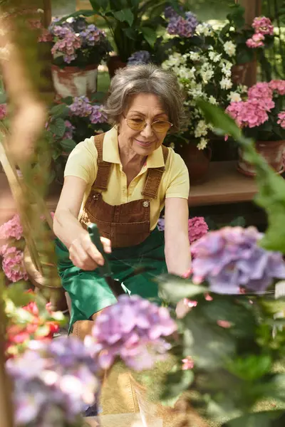 A beautiful senior woman enjoys her time planting vibrant flowers in a sunny, tranquil garden. — Stock Photo