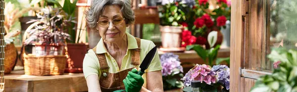 Beautiful senior woman carefully cultivates colorful plants in her enchanting garden space — стоковое фото