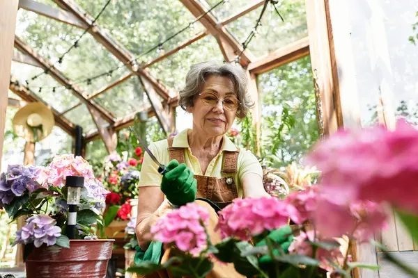 Joyful senior woman carefully watering colorful flowers in her peaceful greenhouse garden. — стоковое фото