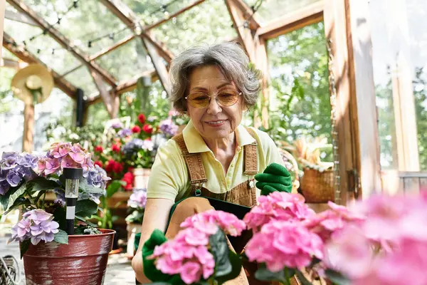 A beautiful senior woman enjoys planting and nurturing blooming flowers within a garden. — Stock Photo