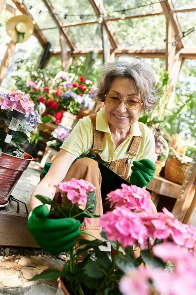 In a lively garden, an elderly woman joyfully nurtures colorful blossoms with care and love. — Stock Photo