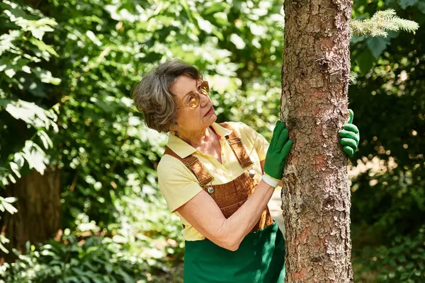 A lovely senior woman admires her garden, gently touching a tree and savoring nature. — стокове фото