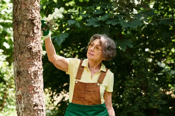 A senior woman in a lively garden gently caring for her plants while enjoying the sunshine. — Stock Photo