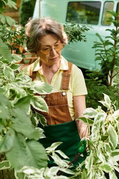 A beautiful elder woman enjoys her time in a flourishing garden, nurturing her plants. — Stock Photo