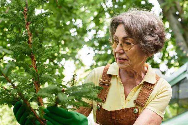 A senior woman enjoys tending to her plants in a vibrant garden, filled with lush greenery and joy. — Stock Photo