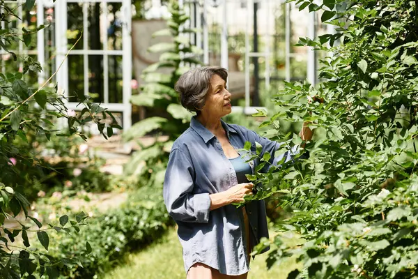 Beautiful senior woman smiles as she lovingly tends to green plants in her flourishing garden. — Stock Photo