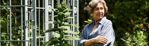 Vibrant garden where a senior woman stands peacefully, cherishing the lush plants and flowers. — стоковое фото