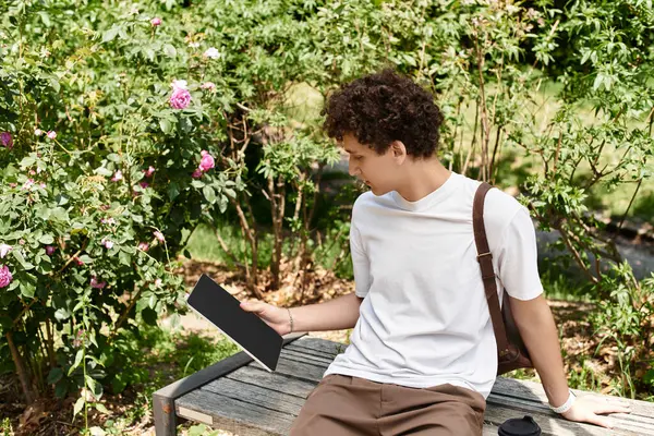 In a lush green summer park, a young man with curly hair relaxes on a bench while reading. — Stock Photo