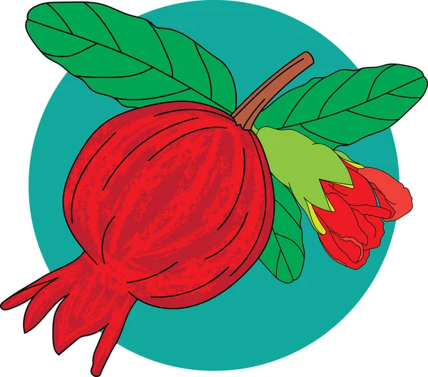 Çemberin Yeşil Arka Planında Yaprakları Olan Nar Punica Elması Çiçek — Stok Vektör