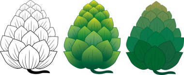  Beyaz arkaplanda renk olan Enginar çizgisi çizimi.