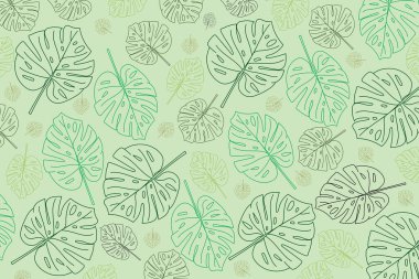 Renk çizgisi açık yeşil arkaplanda kalır.