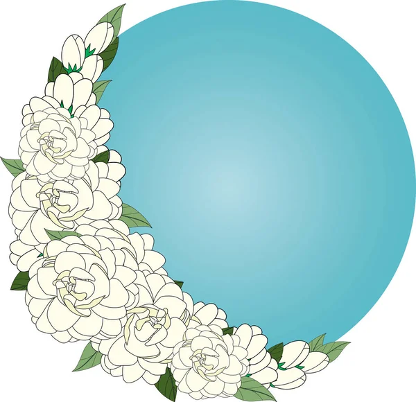 Εικονογράφηση Του Λευκού Άνθους Γιασεμί Φύλλα Μπλε Φόντο Κύκλο — Διανυσματικό Αρχείο