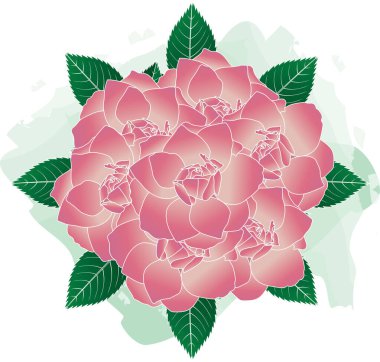 Illustration of pink rose flower with leaves on soft green color background.