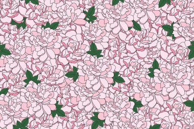 Illustration bouquet of pink rose flower with leaves background.