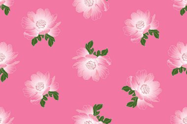 Pembe arka planda yaprağı olan şakayık çiçeği tasviri.