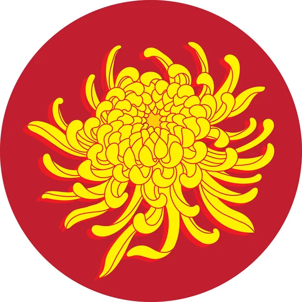 Illustration Der Chrysantheme Blume Auf Rotem Kreis Hintergrund — Stockvektor