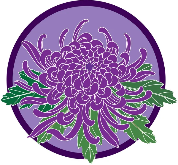 Иллюстрация Цветка Хризантемы Листом Фоне Фиолетового Круга — стоковый вектор