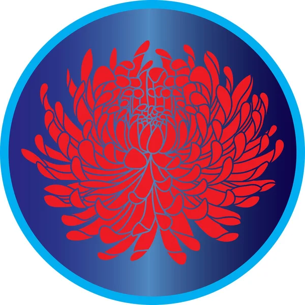 Иллюстрация Цветка Красной Хризантемы Фоне Синего Круга — стоковый вектор