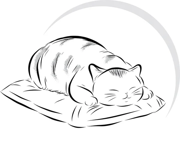Kedi Tasviri Boş Arkaplanda Daireler Çizerek Yastığın Üzerinde Uyuyor — Stok Vektör