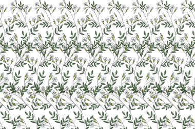 Beyaz arka planda çigila çiçeği..